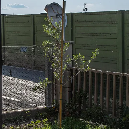 Tra Autodromo E Natura